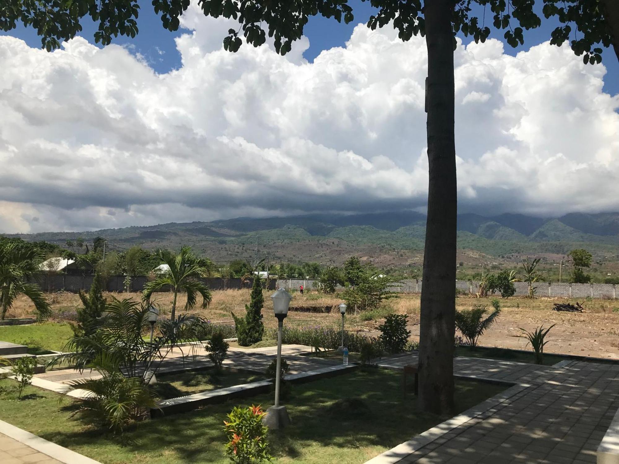 Pohon Purba Resort & Restaurant Labuhan Pandan Eksteriør bilde
