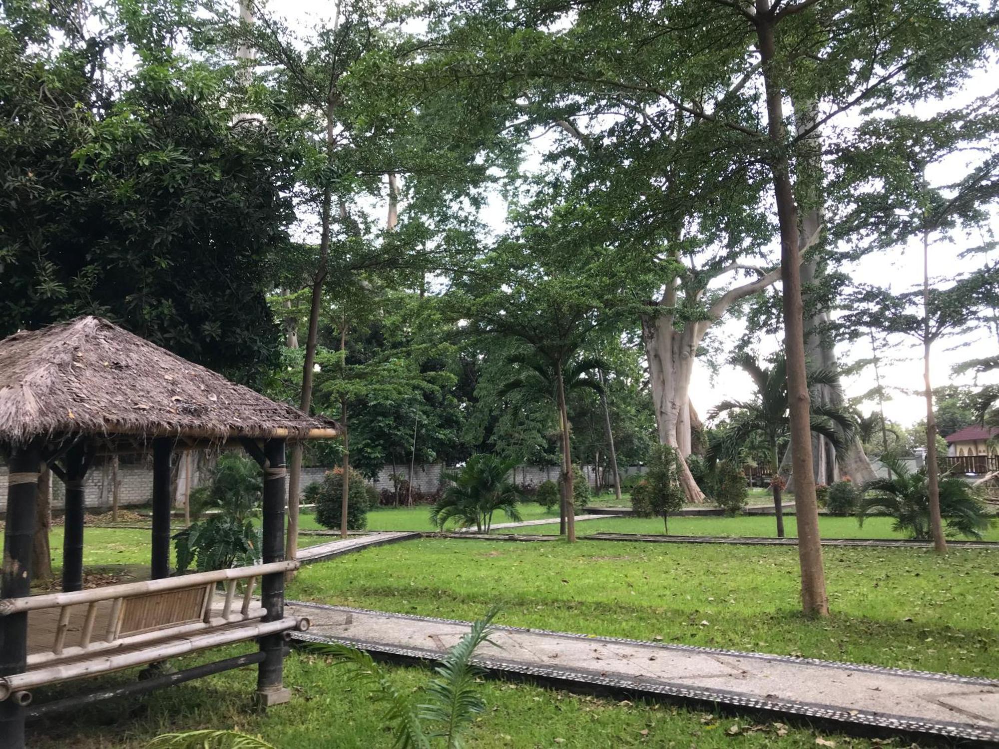 Pohon Purba Resort & Restaurant Labuhan Pandan Eksteriør bilde