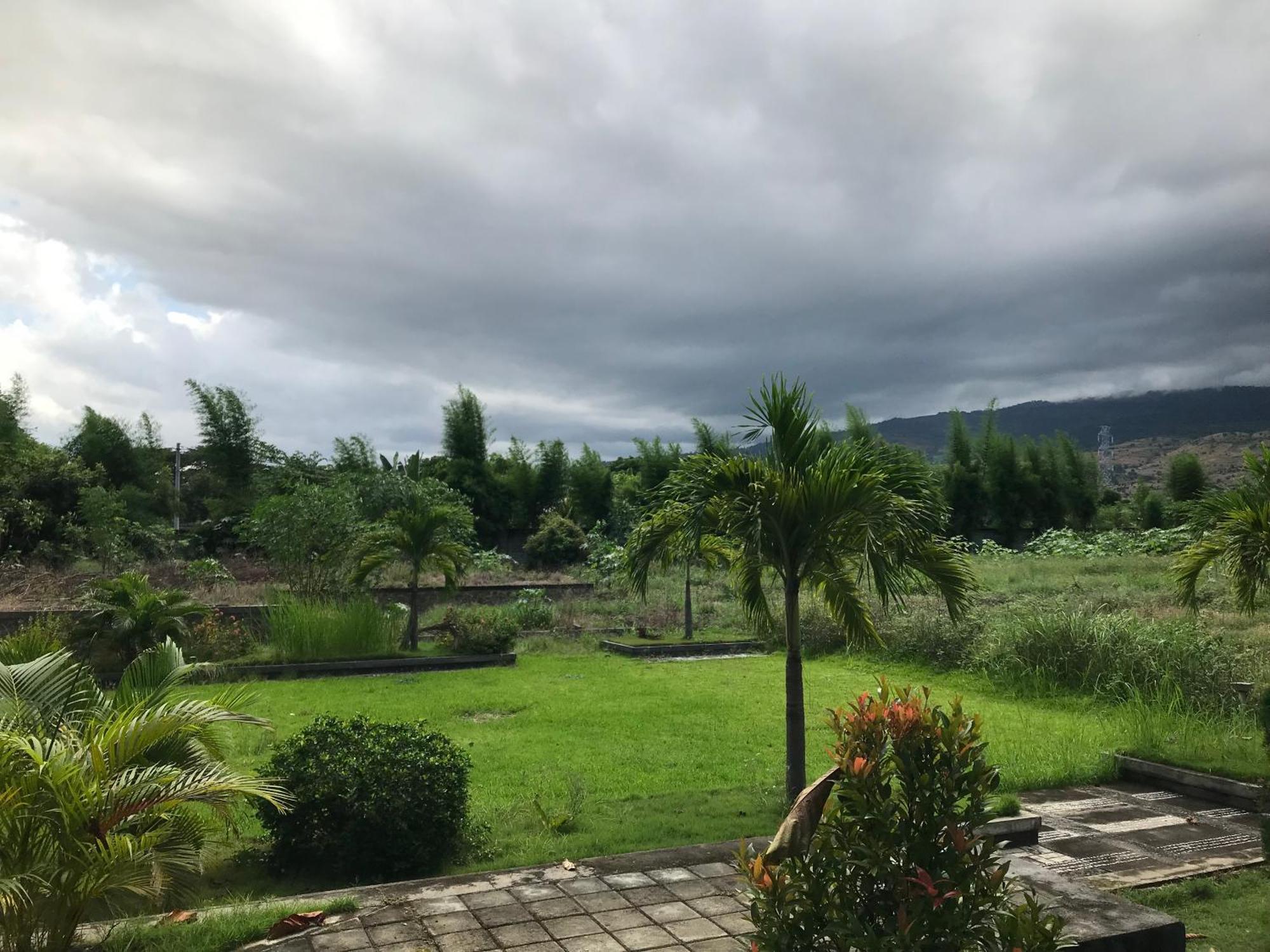 Pohon Purba Resort & Restaurant Labuhan Pandan Eksteriør bilde