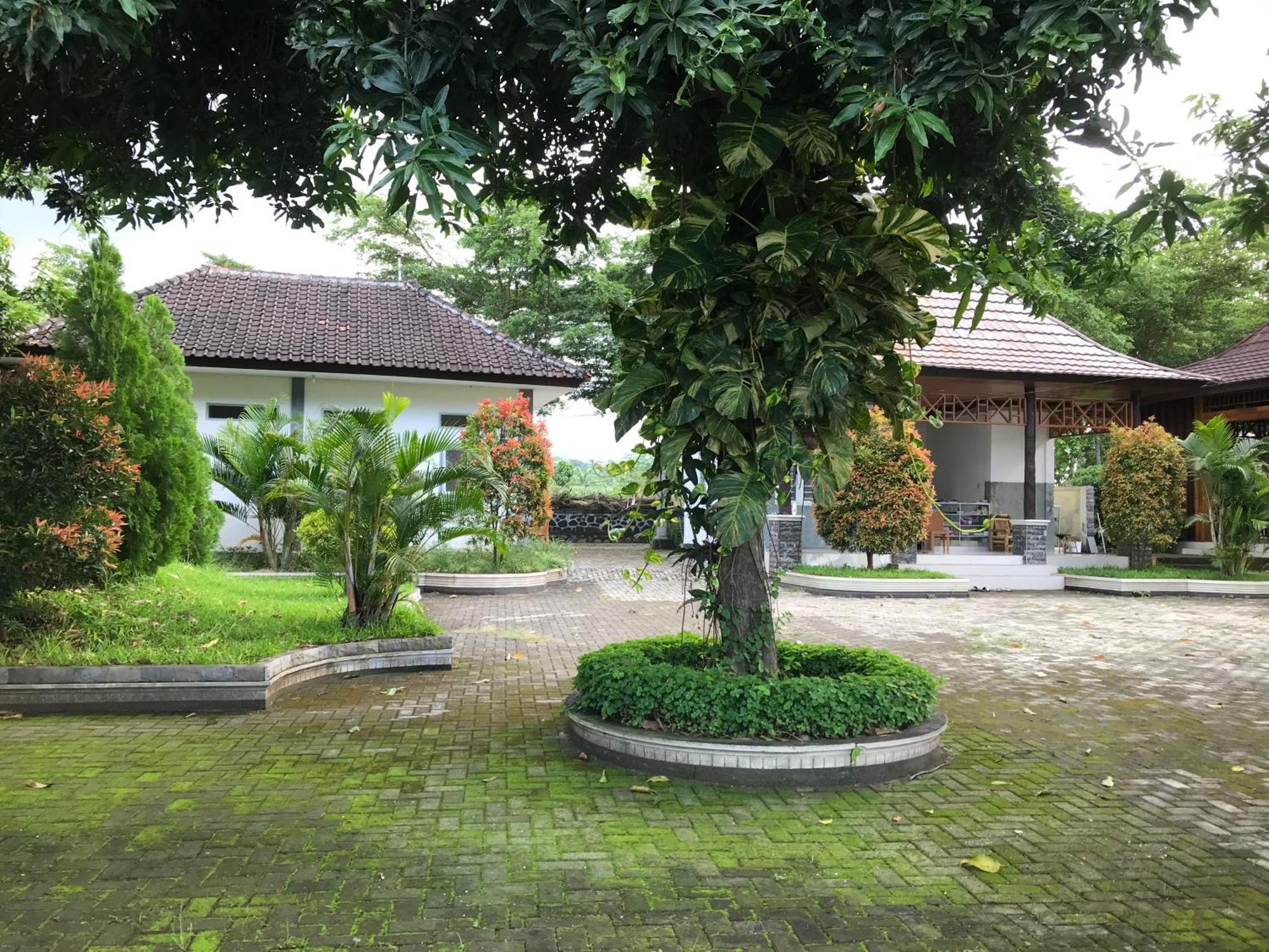 Pohon Purba Resort & Restaurant Labuhan Pandan Eksteriør bilde