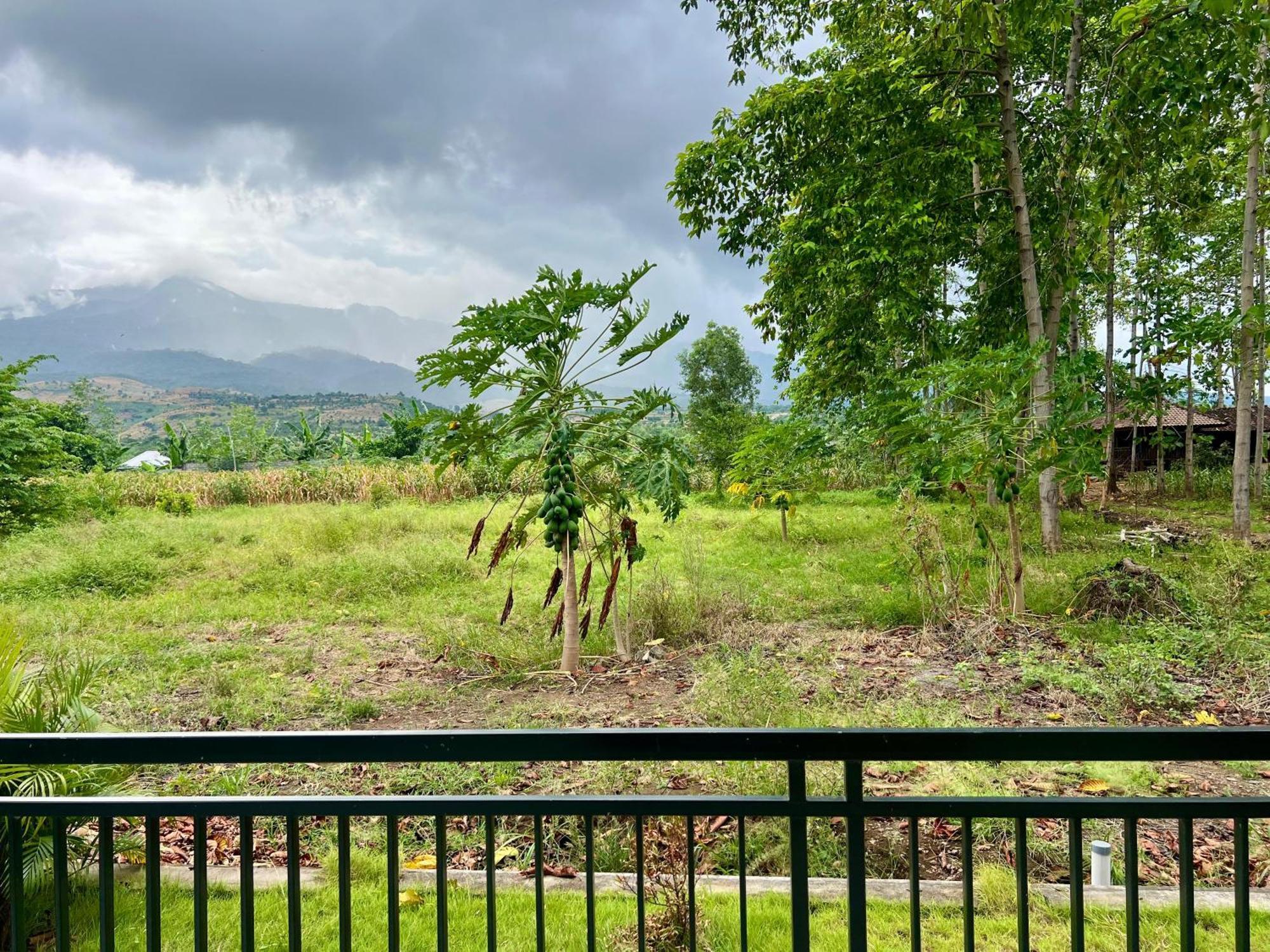 Pohon Purba Resort & Restaurant Labuhan Pandan Eksteriør bilde
