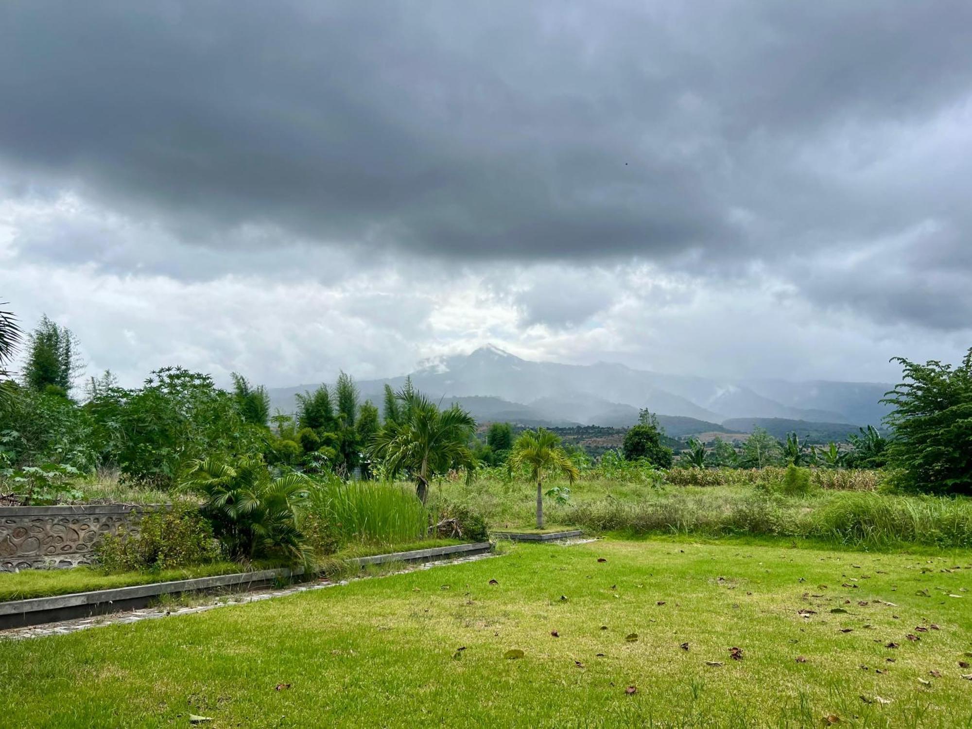 Pohon Purba Resort & Restaurant Labuhan Pandan Eksteriør bilde